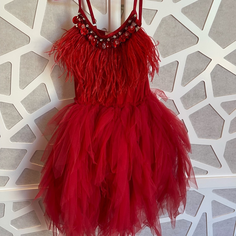 Tutu Du Monde Red Feather Dress, Size 4-5